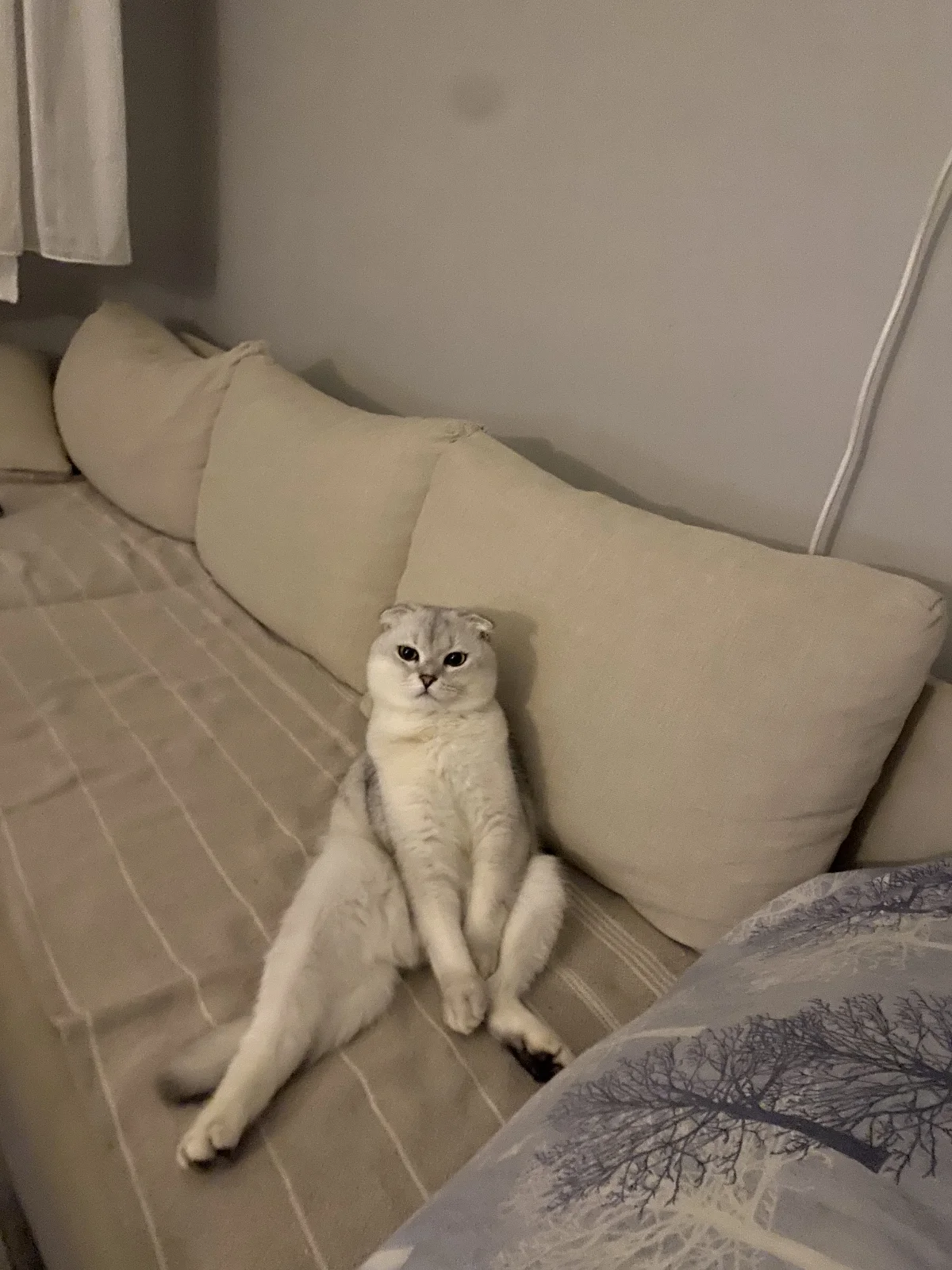 Test Ürünü